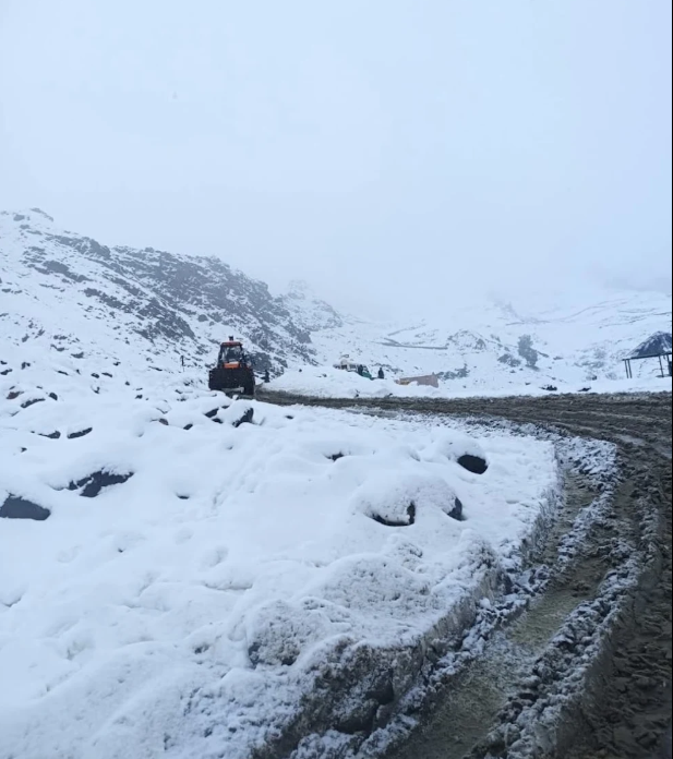 Review from  Shivani Sharma